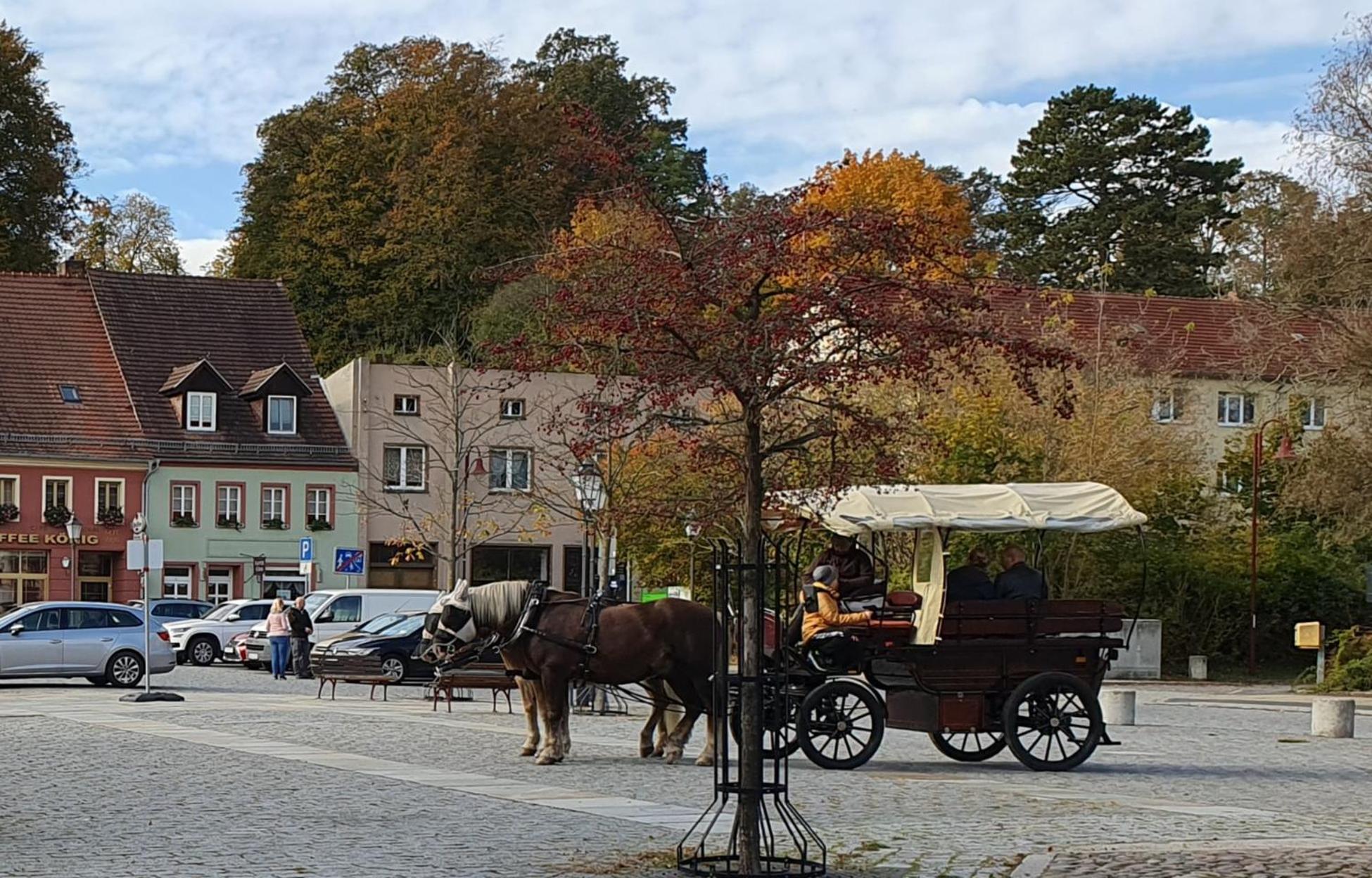 Apartment Gruener Fuerst Mit Sitzecke Im Innenhof & Naehe Park & Erdgeschoss Bad Muskau Eksteriør billede